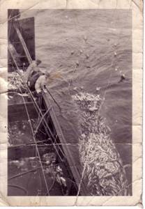 Description: Ted the jackpot 1954