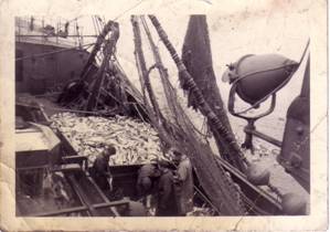 Description: Ted the jackpot 2